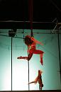 vertige du papillon 009 * 2336 x 3504 * (3.25MB)